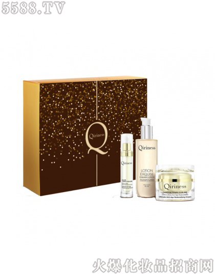 �ƌ�˼���@�݌������Y��