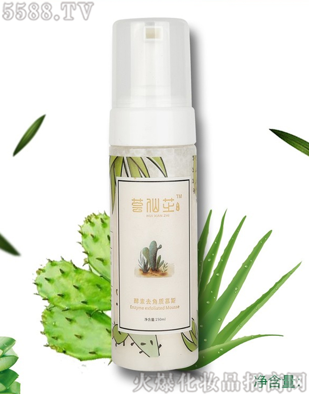 �C��֥��������|(zh��)Ľ˹