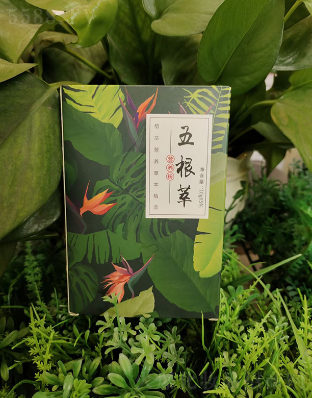 ����͠I�B(y��ng)��10gx5��