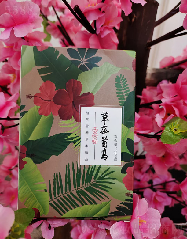 �ݱ��מ�ϴ�^��10gx5��