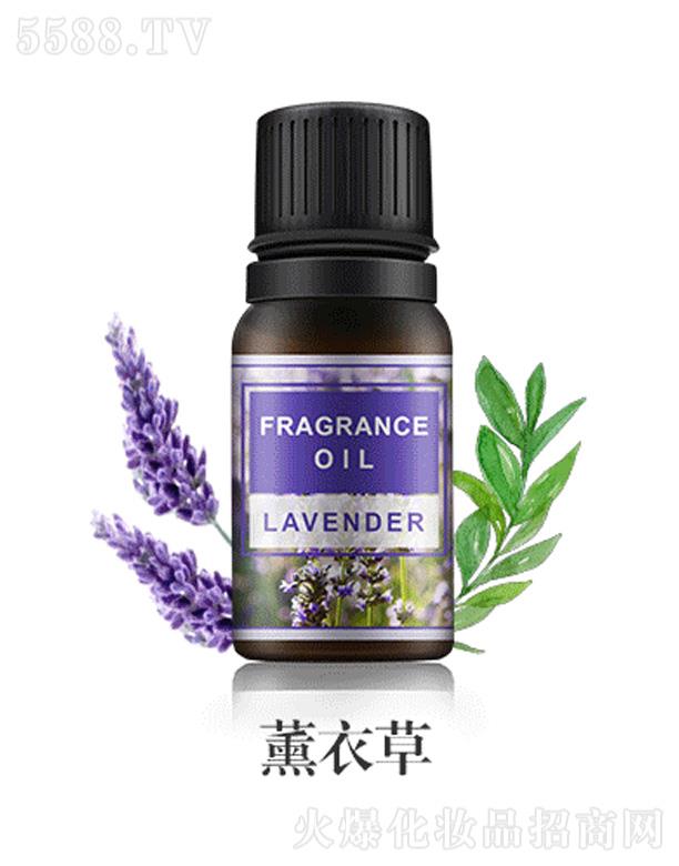 ������ˮ������޹����-޹�²�