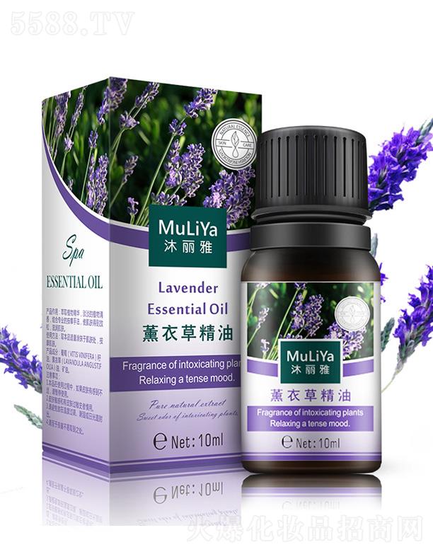 ������޹�²ݾ���