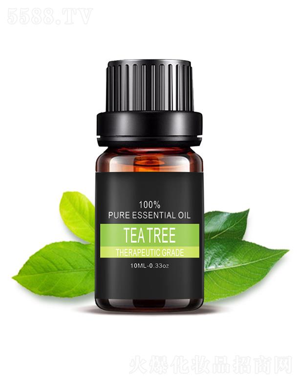 �����Ų��(sh��)����