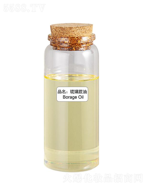 ɭ����������