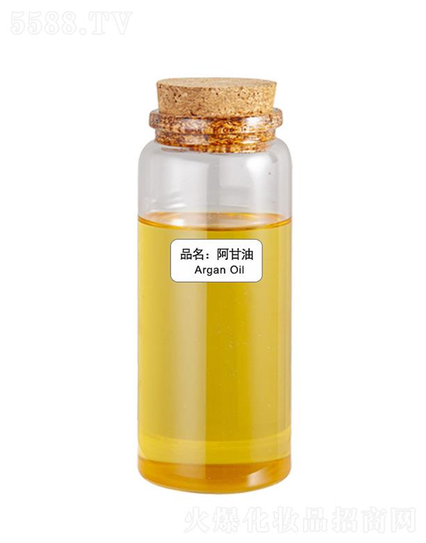 ɭ��������