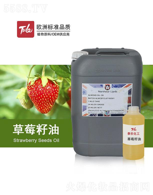 ̩����ݮ����