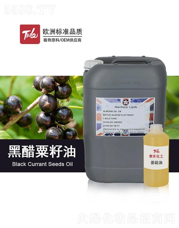 ̩���ڴ�������