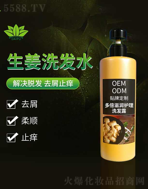 ���ն౶�̝�(r��n)�o(h��)��ϴ�l(f��)¶