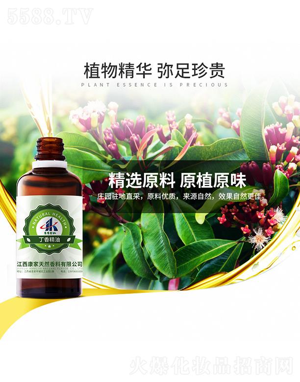 ���ұ��ݶ��㾫��