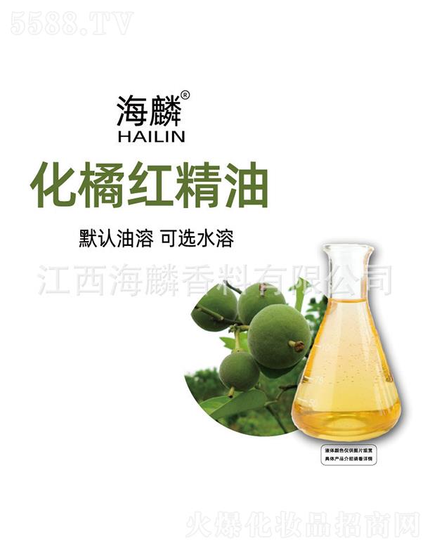 ���뻯�ټt����