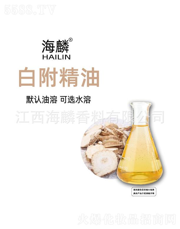 ����׸�����