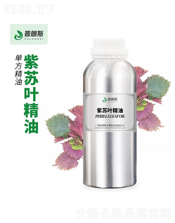 ����˹���K�~����