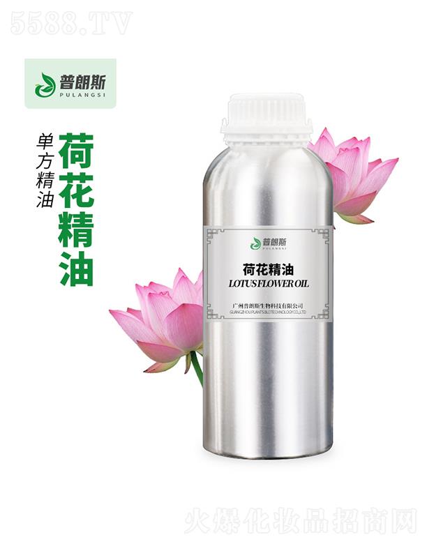 ����˹�ɻ�����