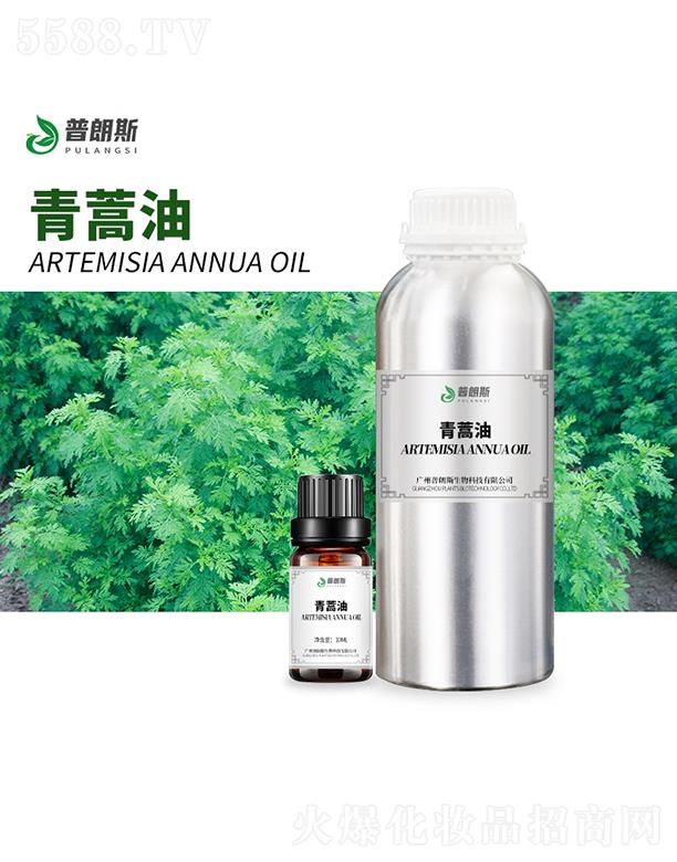 ����˹������