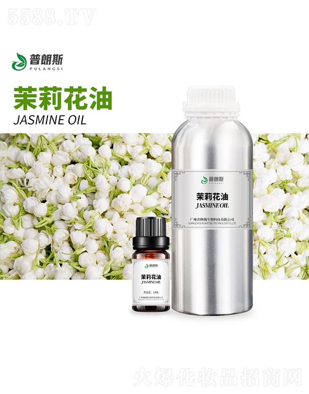 ����˹������