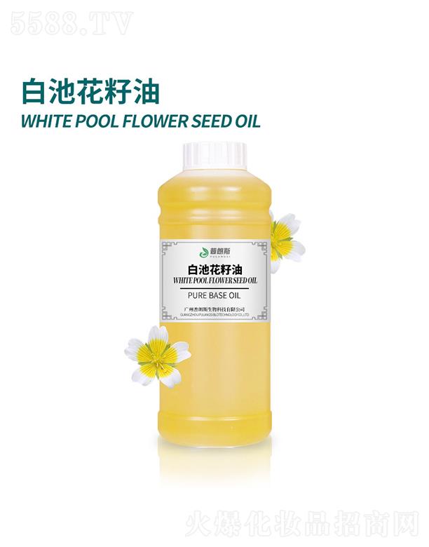 ����˹�׳ػ�����