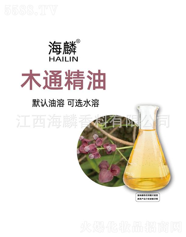 ����ľͨ����