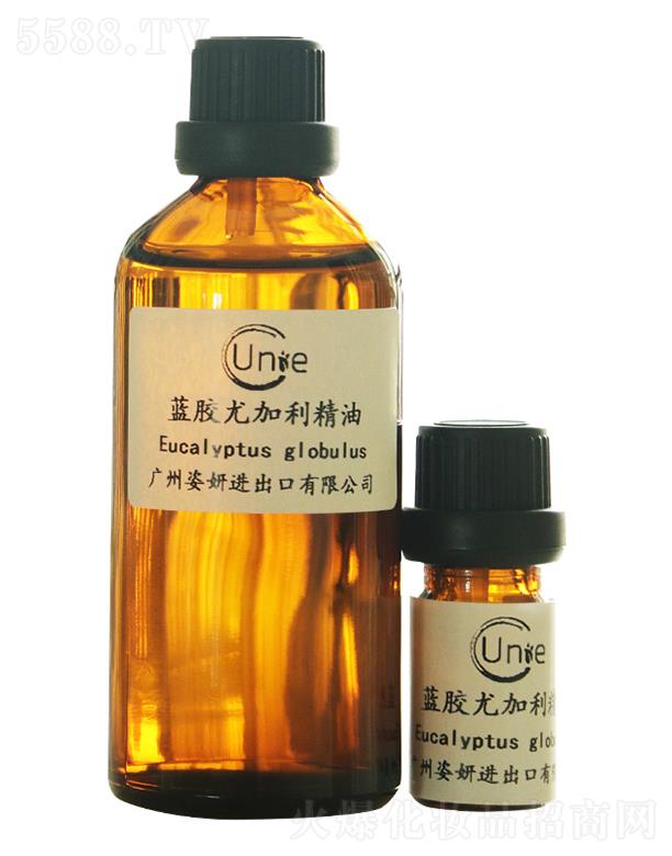 �����{�z�ȼ�������