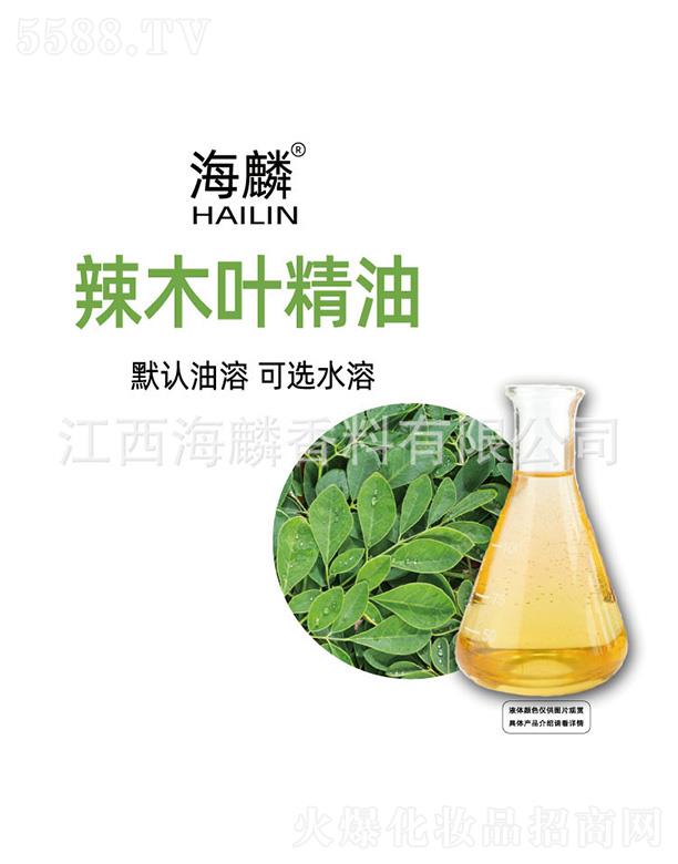 ������ľ�~����