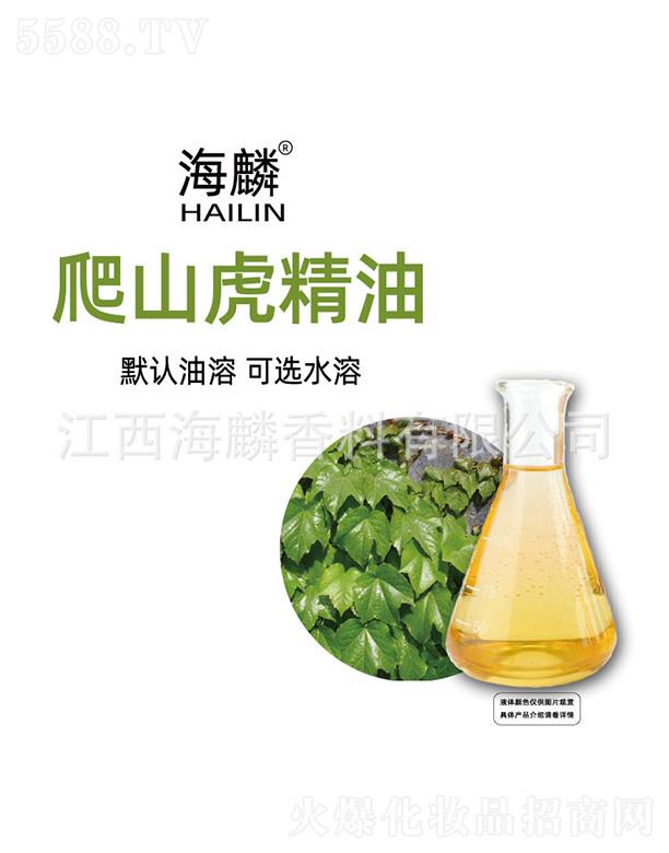 ������ɽ������