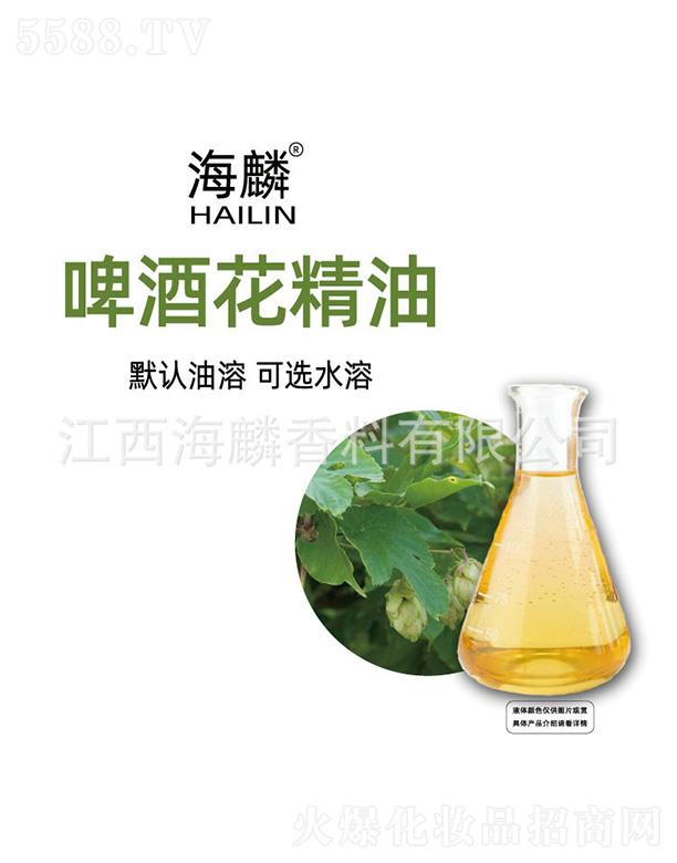 ����ơ�ƻ�����