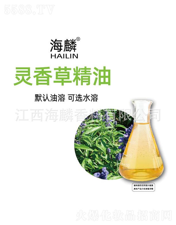 �����`��ݾ���