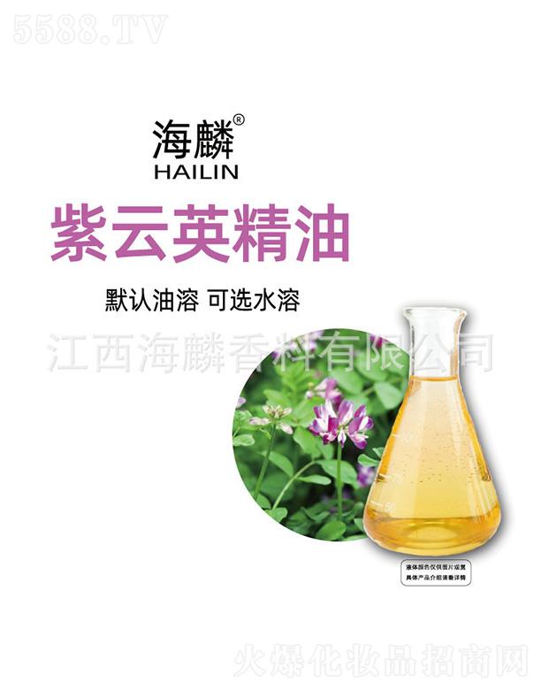 ��������Ӣ����