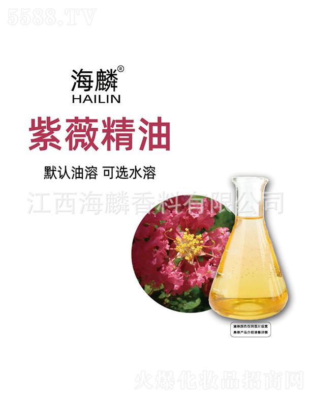 ������ޱ����