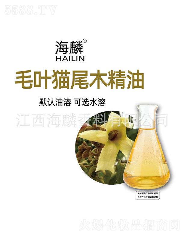 ����ë�~؈βľ����