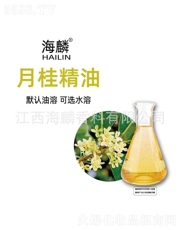 �����¹���