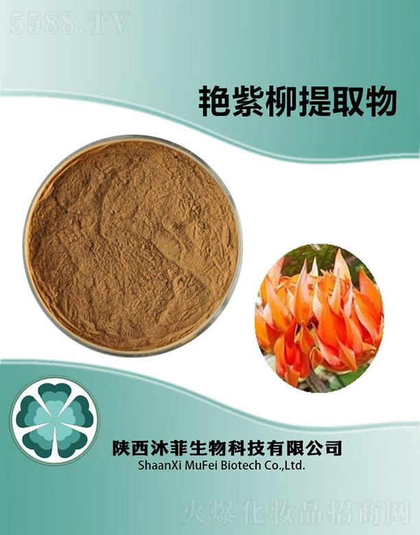 ����G������ȡ��