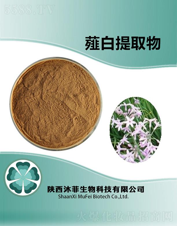 ���ޯ����ȡ��