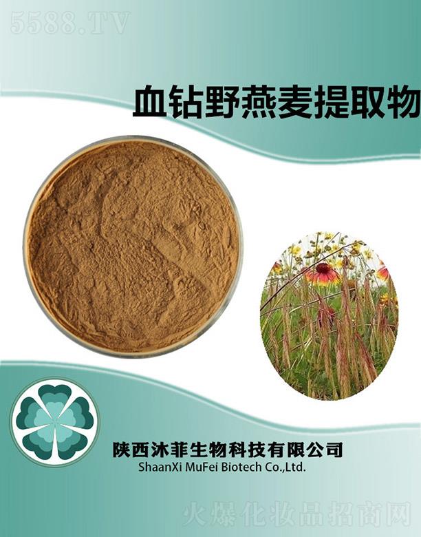 ���Ѫ�@Ұ������ȡ��