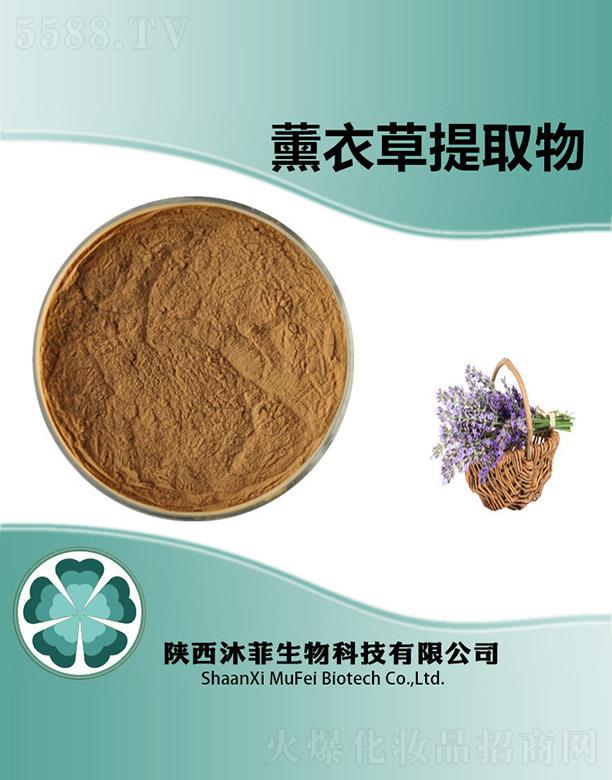 ���޹�²���ȡ��