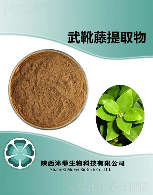 �����ѥ����ȡ��