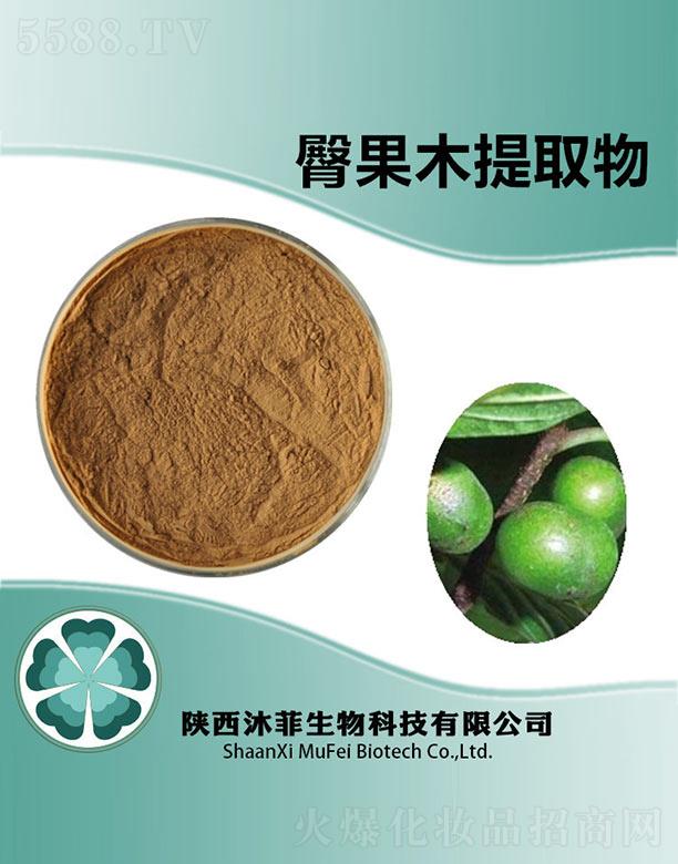 ����ι�ľ��ȡ��