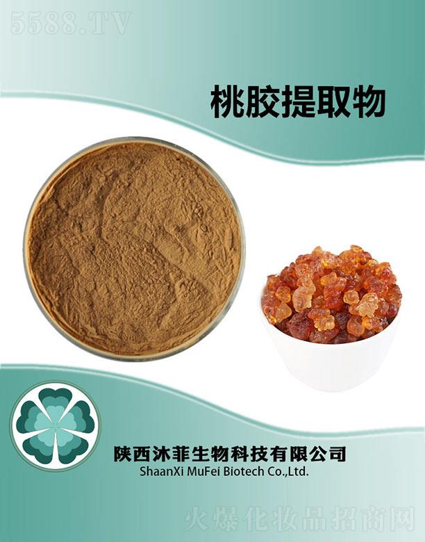 ������z��ȡ��