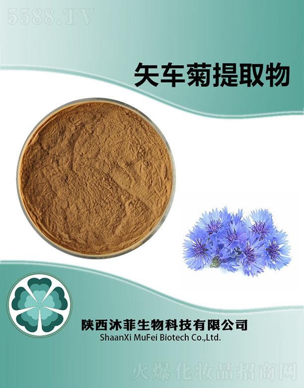 ���ʸ܇����ȡ��