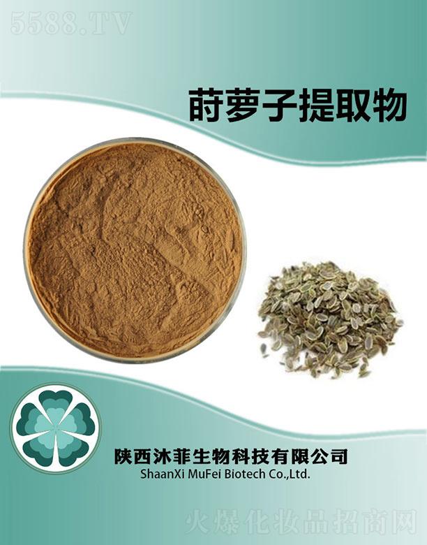 ����P�}����ȡ��