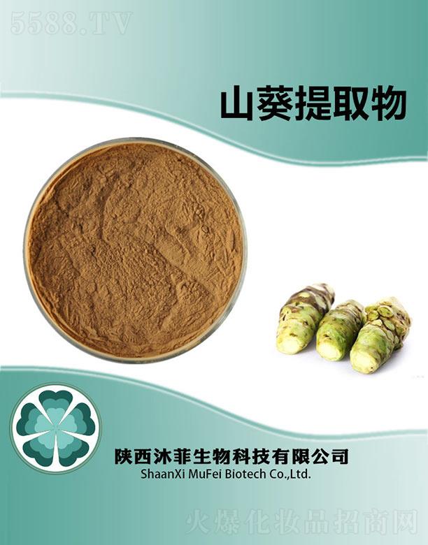 ���ɽ����ȡ��