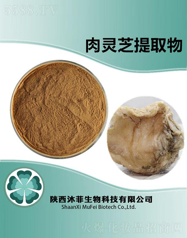 ������`֥��ȡ��