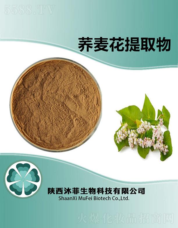 ����w������ȡ��