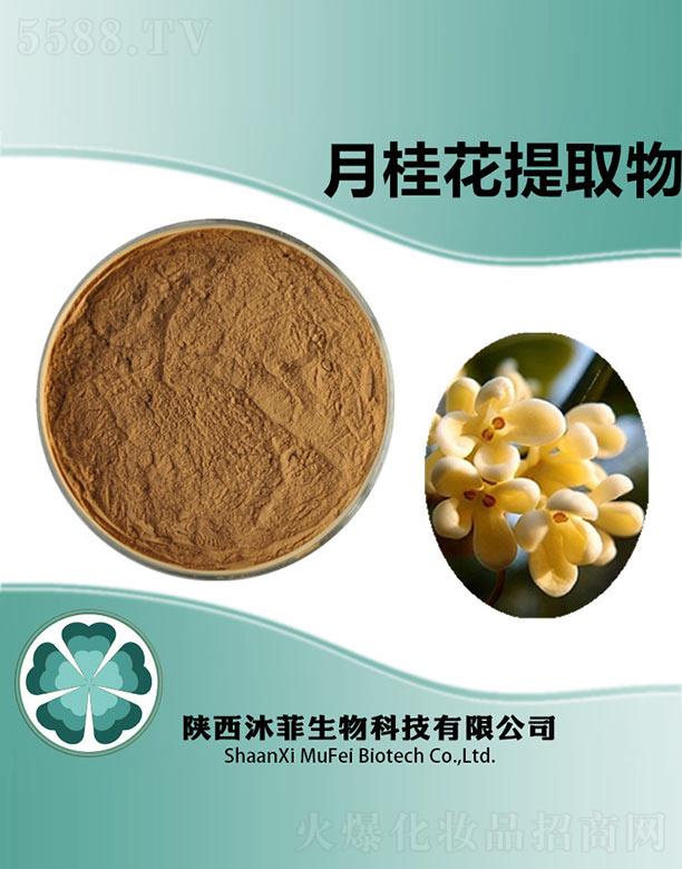 ����¹���ȡ��