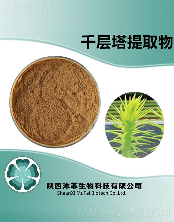 ���ǧ������ȡ��