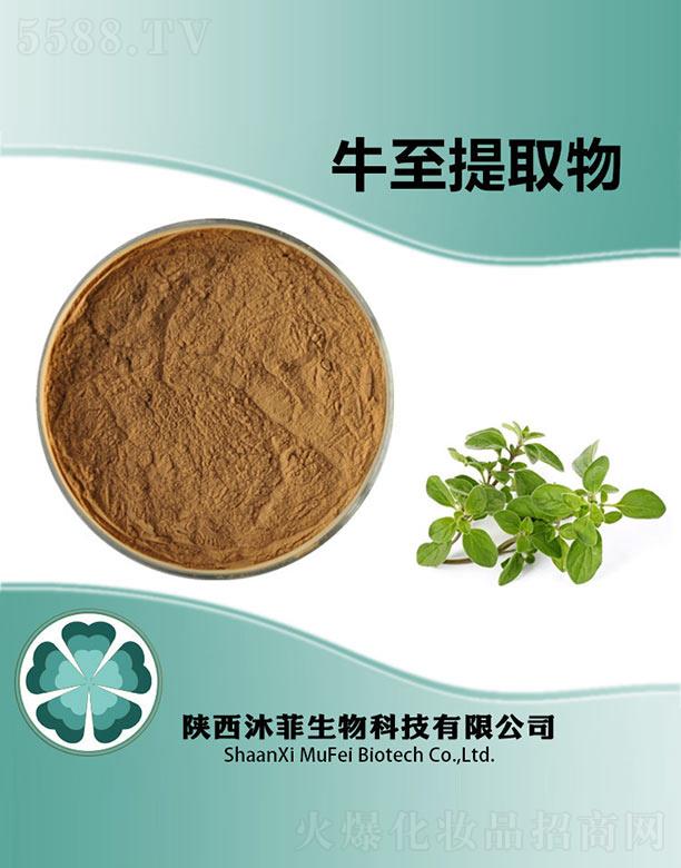 ���ţ����ȡ��