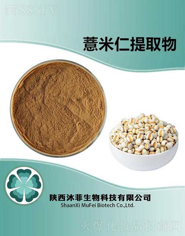 ���޲������ȡ��