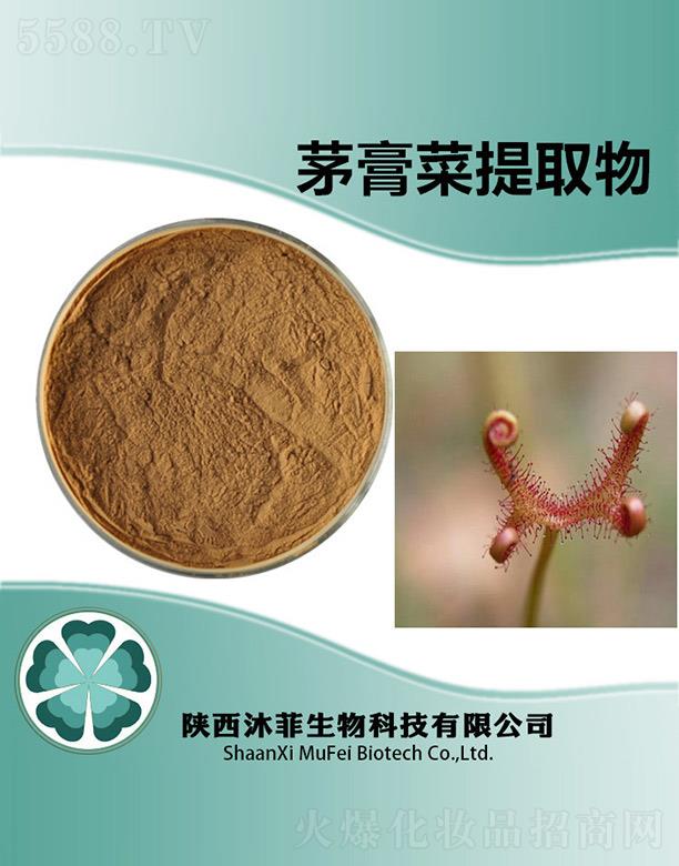 ���é�����ȡ��