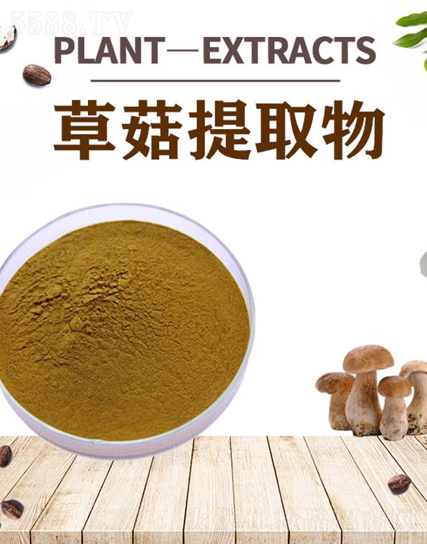 �ĺ��ݹ���ȡ��