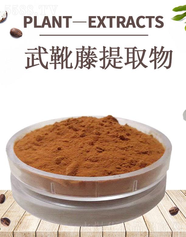 �ĺ���ѥ����ȡ��