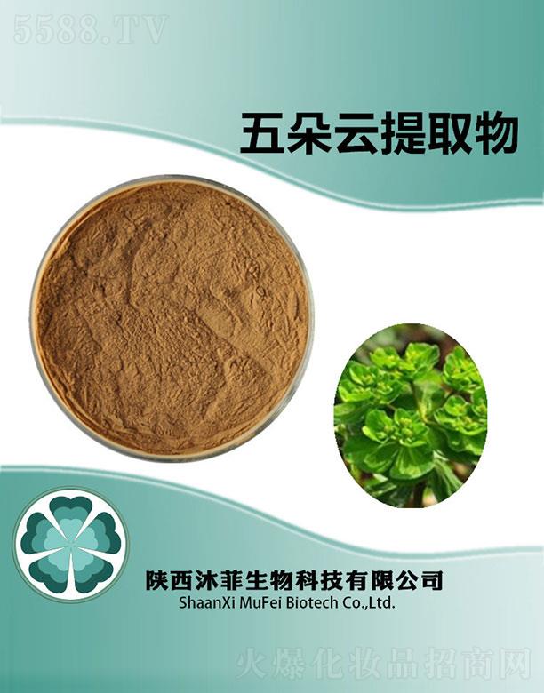 ����������ȡ��